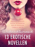 Weihnachtswunsch - 13 erotische Novellen (eBook, ePUB)