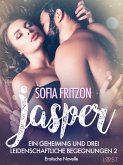 Jasper – Geheimnisse und leidenschaftliche Begegnungen 2 - Erotische Novelle (eBook, ePUB)