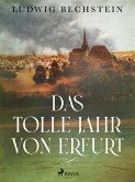 Das tolle Jahr von Erfurt (eBook, ePUB)