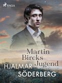 Martin Bircks Jugend (eBook, ePUB)