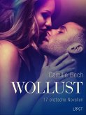 Wollust - 17 erotische Novellen (eBook, ePUB)