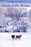 Snowfall at Catoctin Creek (Catoctin Creek Sweet Romance, #2) (eBook, ePUB)