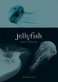 Jellyfish (eBook, ePUB)