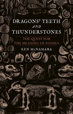 Cover Dragons' Teeth and Thunderstones (eBook, ePUB)