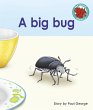 big bug (eBook, ePUB) - Bild 1
