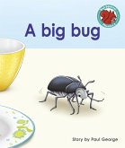 big bug (eBook, ePUB)