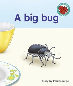 big bug (eBook, ePUB) - George, Paul