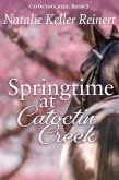 Springtime at Catoctin Creek (Catoctin Creek Sweet Romance, #3) (eBook, ePUB)