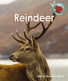 Reindeer (eBook, ePUB) - Tainui, Bronwyn