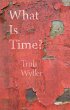 What Is Time? (eBook, ePUB) - Bild 1