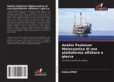 Analisi Pushover Metoceanica di una piattaforma offshore a giacca