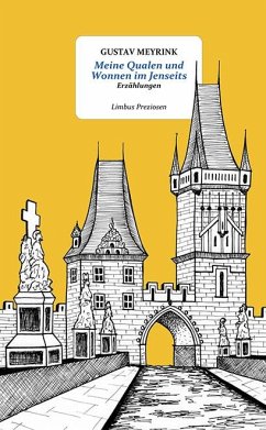 Cover Meine Qualen und Wonnen im Jenseits