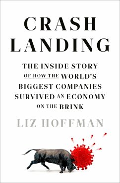 Crash Landing - Hoffman, Liz
