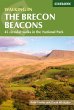 Walking in the Brecon Beacons - Bild 1