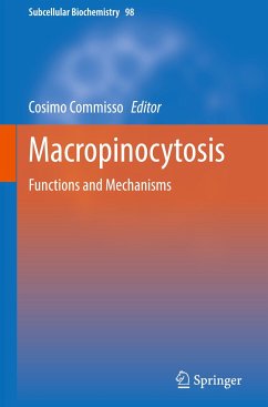 Macropinocytosis