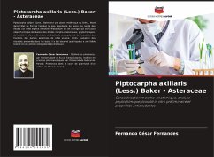 Piptocarpha axillaris (Less.) Baker - Asteraceae - Fernandes, Fernando César
