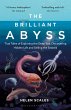 The Brilliant Abyss - Bild 1