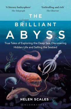 The Brilliant Abyss - Scales, Helen