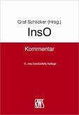 InsO (eBook, ePUB)