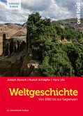 Weltgeschichte - inkl. E-Book