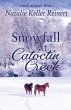 Snowfall at Catoctin Creek - Bild 1