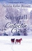 Snowfall at Catoctin Creek