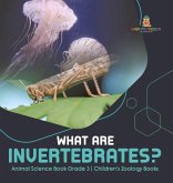 What Are Invertebrates?   Animal Science Book Grade 3   Children's Zoology Books