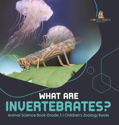 What Are Invertebrates?   Animal Science Book Grade 3   Children's Zoology Books - Baby