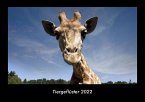Tiergeflüster 2022 Fotokalender DIN A3