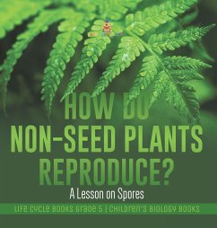 How Do Non-Seed Plants Reproduce? A Lesson on Spores   Life Cycle Books Grade 5   Children's Biology Books - Baby