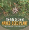 The Life Cycle of Naked-Seed Plant  ... - Bild 1