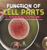 Function of Cell Parts - Bild 1
