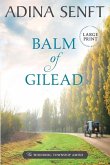 Balm of Gilead: Amish Romance Large Print