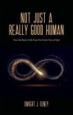 Not Just a Really Good Human: How the Book of Job Fixes Our Faulty View of God