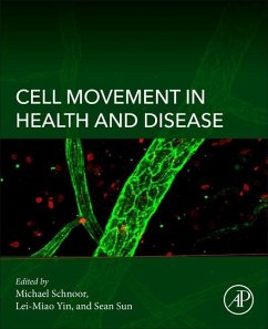 Cover Cell Movement in Health and Disease
