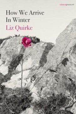 How We Arrive in Winter - Quirke, Liz