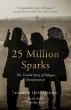 25 Million Sparks - Bild 1