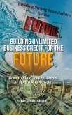 Building Unlimited Business Credit For the Future