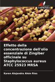 Effetto della concentrazione dell'olio essenziale di Zingiber officinale su Staphylococcus aureus ATCC 25923 MRSA