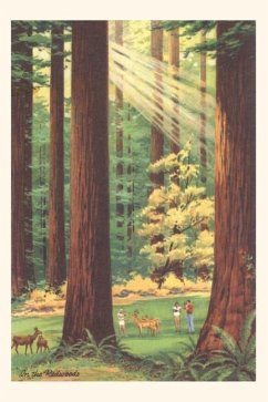 Vintage Journal California Redwoods