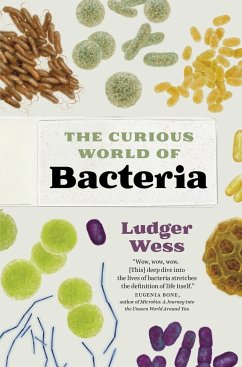 The Curious World of Bacteria - Wess, Ludger