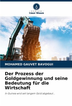 Der Prozess der Goldgewinnung und seine Bedeutung für die Wirtschaft - Bavogui, Mohamed Gauvet