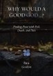 Why Would a Good God ...? - Bild 1