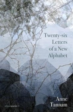 Twenty-Six Letters of a New Alphabet - Tannam, Anne