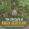 The Life Cycle of Naked-Seed Plant  ... - Bild 1