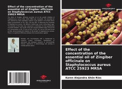 Effect of the concentration of the essential oil of Zingiber officinale on Staphylococcus aureus ATCC 25923 MRSA - Ahón Ríos, Karen Alejandra