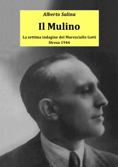 Il Mulino (eBook, ePUB) - Salina, Alberto