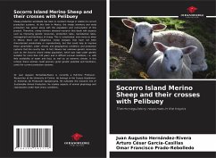 Socorro Island Merino Sheep and their crosses with Pelibuey - Hernández-Rivera, Juan Augusto;García-Casillas, Arturo César;Prado-Rebolledo, Omar Francisco