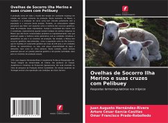 Ovelhas de Socorro Ilha Merino e suas cruzes com Pelibuey - Hernández-Rivera, Juan Augusto;García-Casillas, Arturo César;Prado-Rebolledo, Omar Francisco