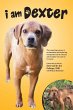 I Am Dexter - Bild 1